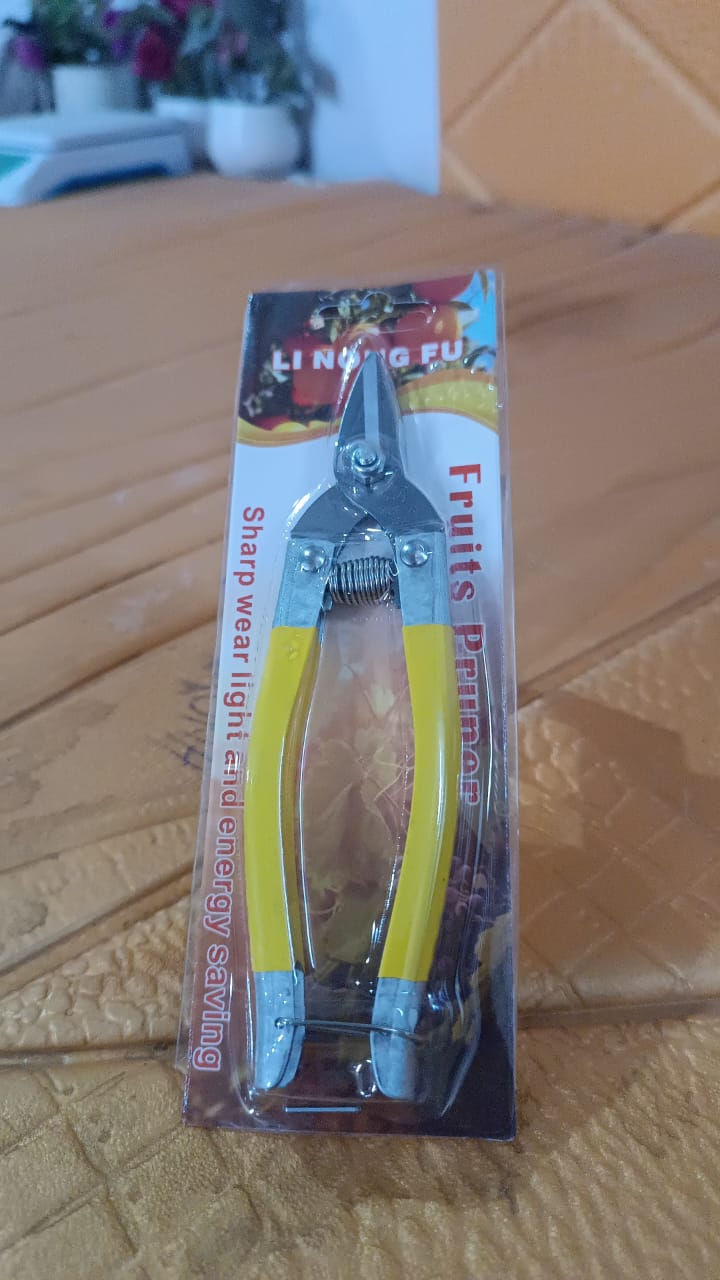 Precision Micro Garden Snip Pruning Scissor (small)