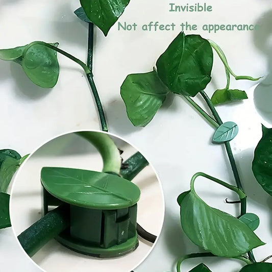 Plant Climbing Wall Fixture Clip (30 Pcs Set)