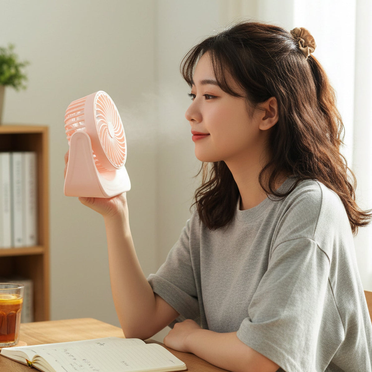 Mini Fan