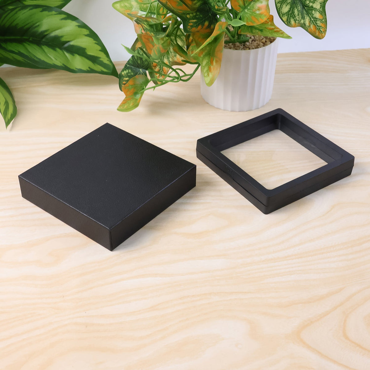 Display Box