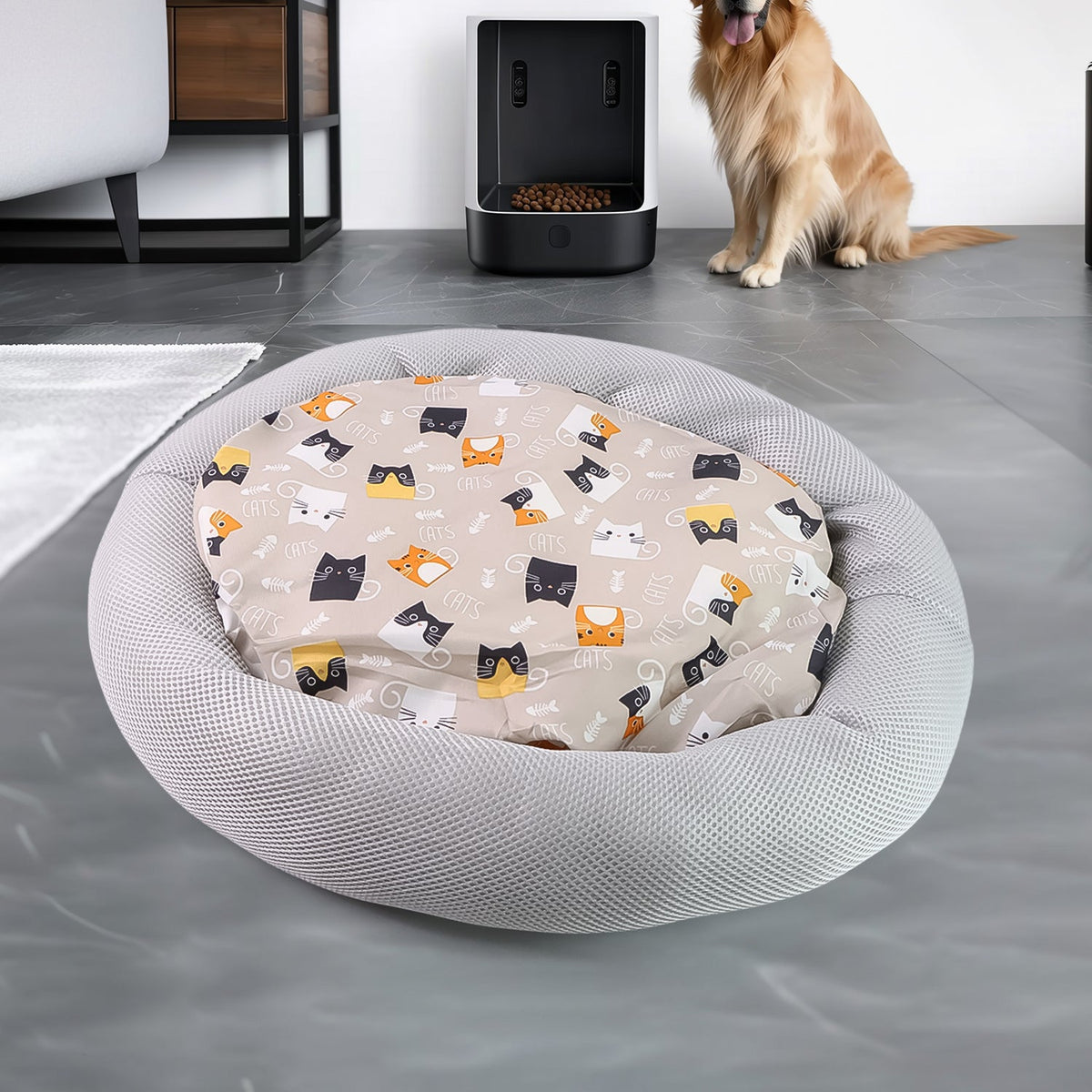 Carto Cat Lounge
