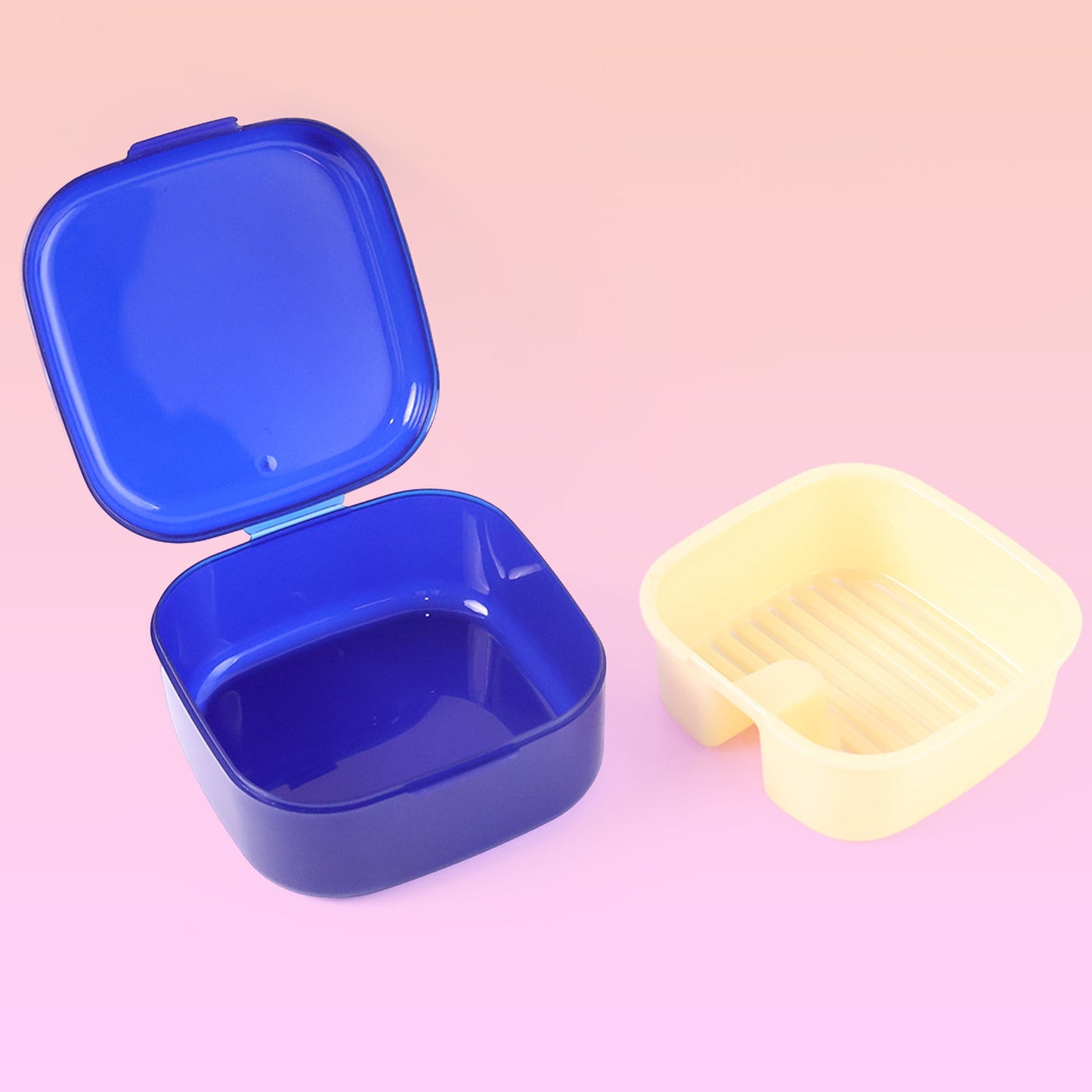 Blue Oblivion Multi-Purpose Storage Box with Lid, DENTURE CASE (1 Pc)