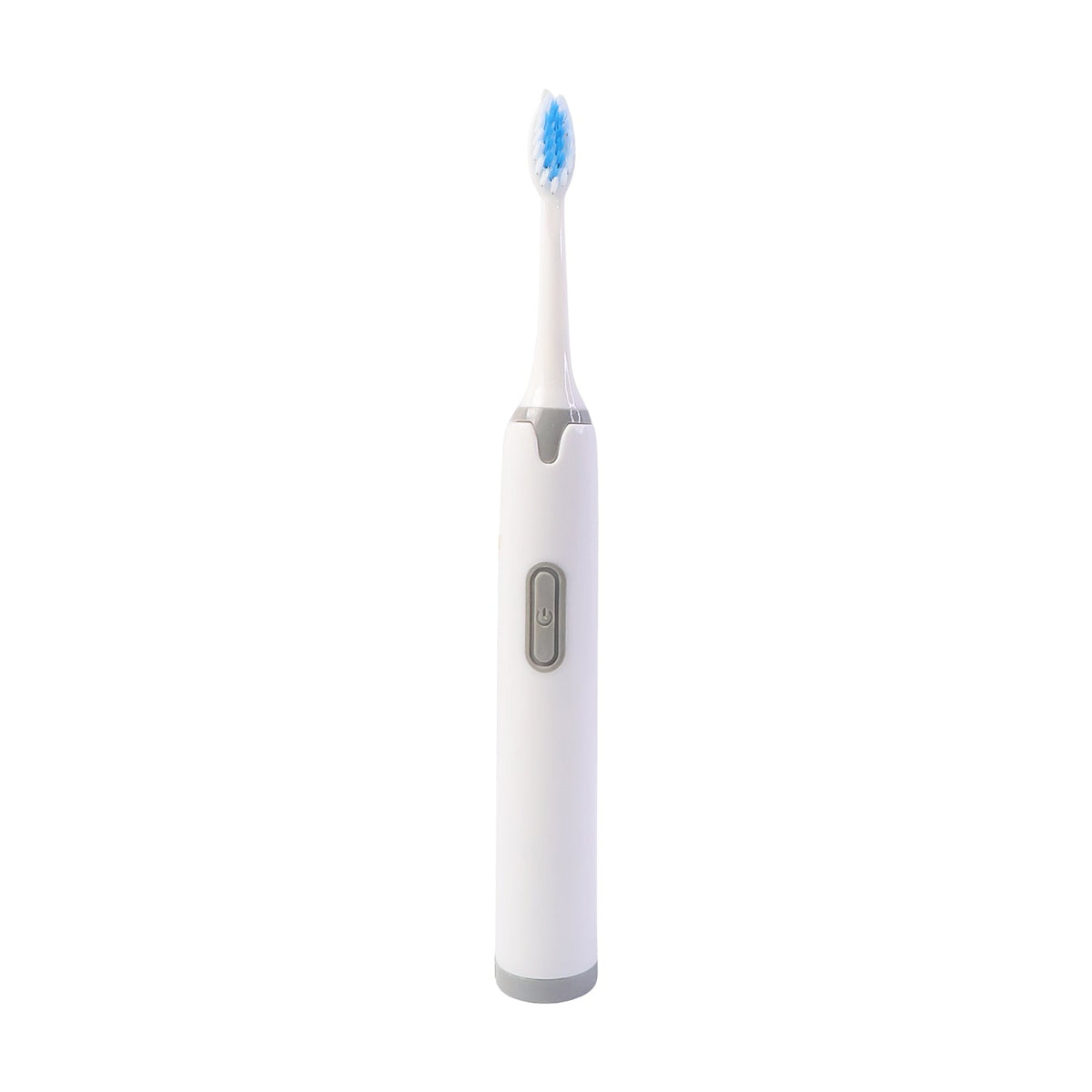 Dental Brush