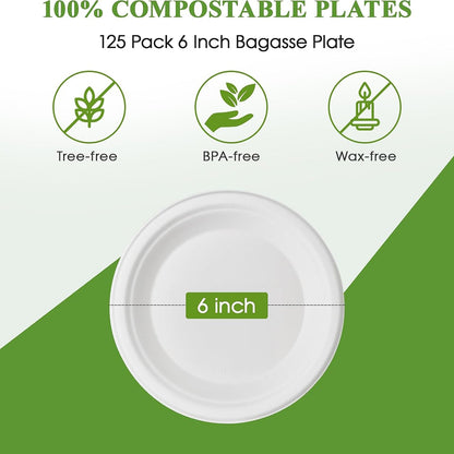 Dinner Plates