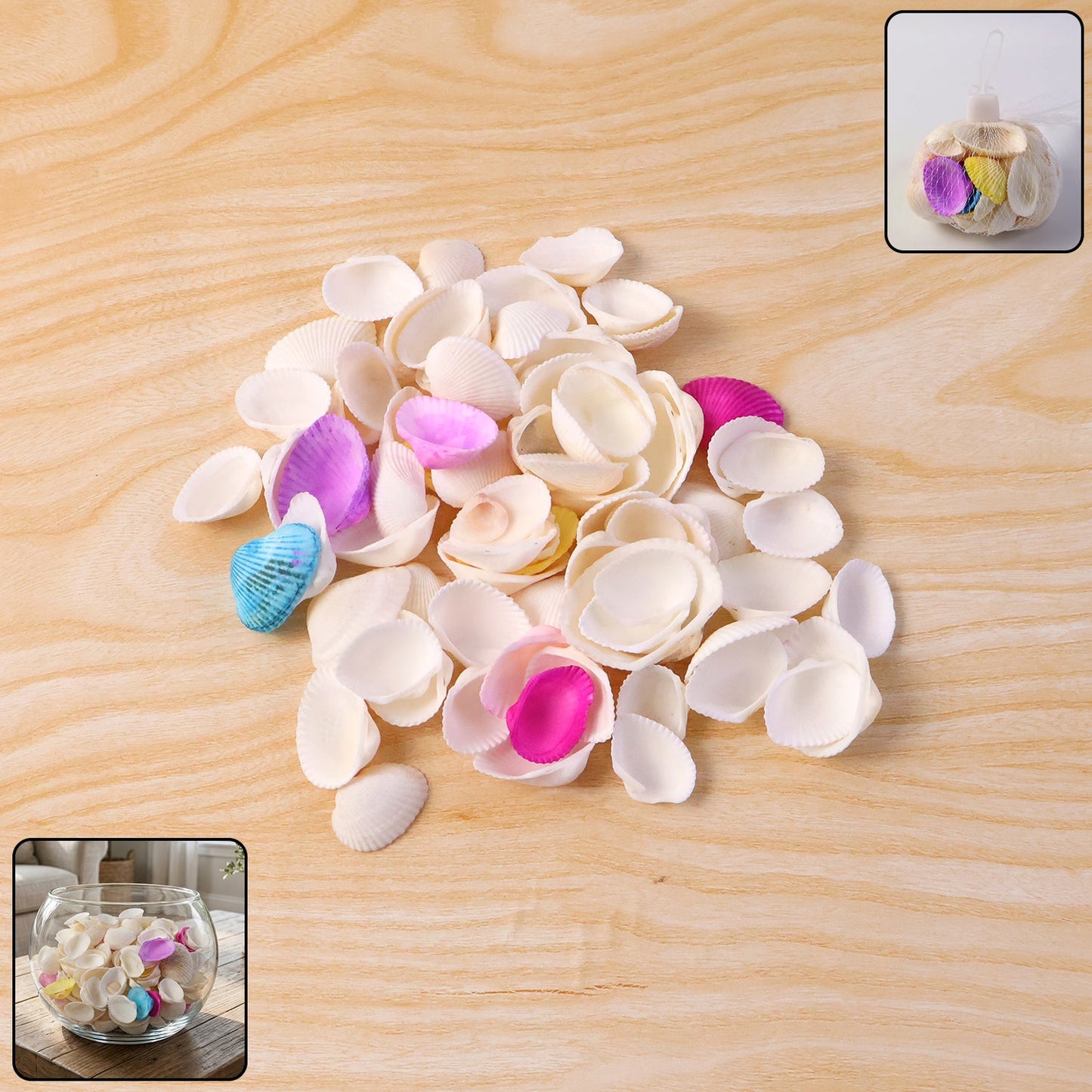 Seashells Set