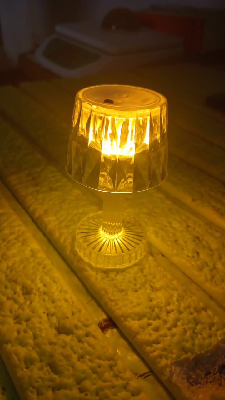 Cute Portable Plastic Lamp